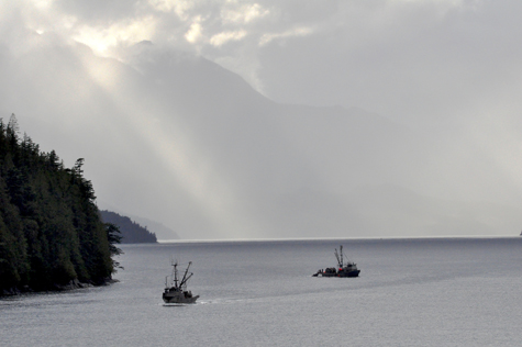 Melanie Heinrich Images - Alaska